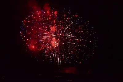 DSC_3432 (Large).JPG